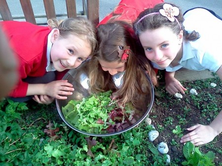 Salad Bowl Trio